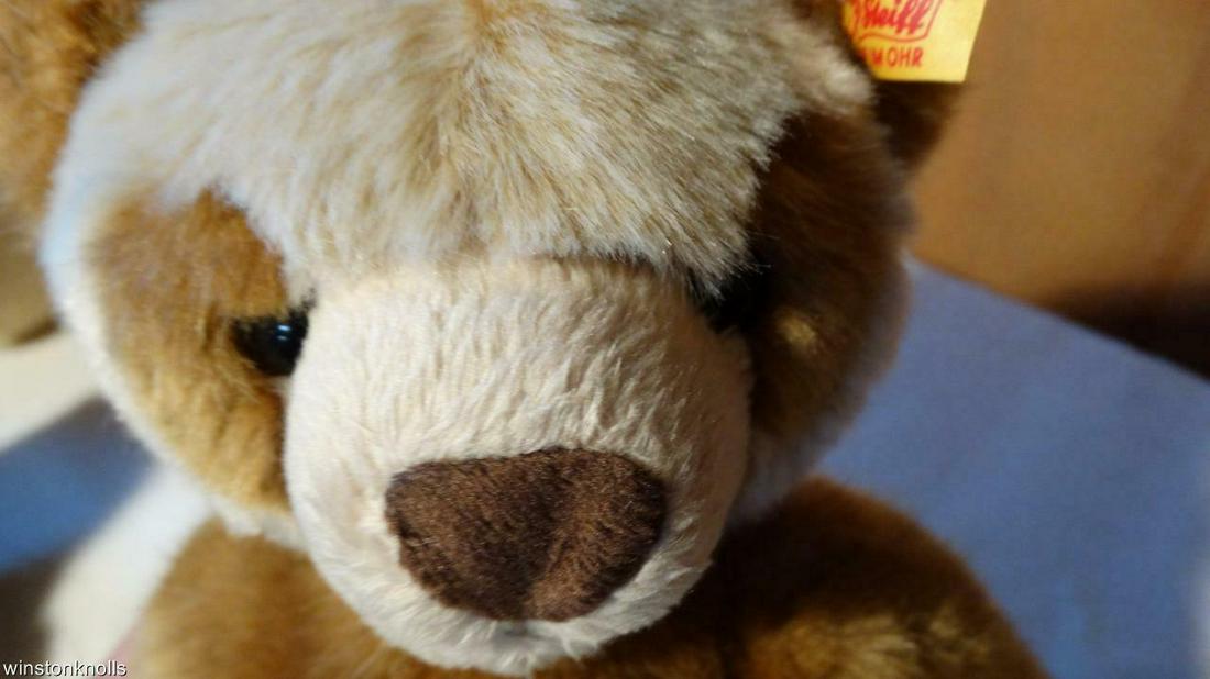 2013 STEIFF MORITZ TEDDY BEAR EAN 013232 FULLY TAGGED (1 of 11)