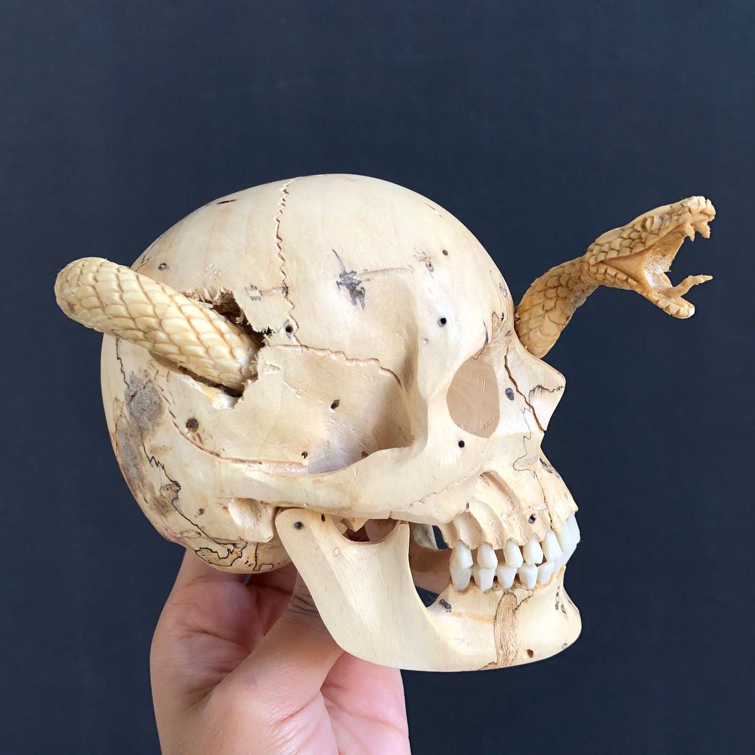 Human Skull With A Carved Snake: Title: Human Skull With A Carved Snake Maker: Unknown Origin: Indonesia Date/Period: 2020 Materials: Tamarind Wood, Deer antler Dimensions:Height: 12.5 cm / 4.9 inches. Width: 9 cm / 3.5 inches. Lengt