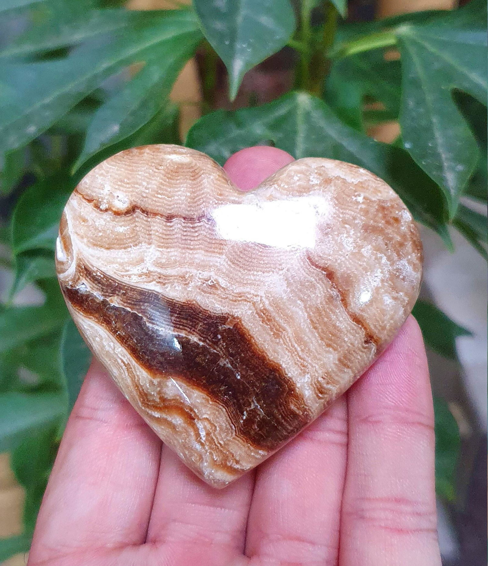 Chocolate Calcite Heart Shape 95 gram - 60*52*18 mm: Chocolate Calcite Heart Shape 95 gram - 60*52*18 mm Weight : 95 gram Size : 60*52*18 mm Origin : Pakistan Treatment : Natural DHL Shipphing Economy Shipping A1-219 Reserve: $18.00 Shipping: Domestic