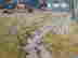 item-114957878=5