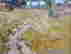 item-114957878=6