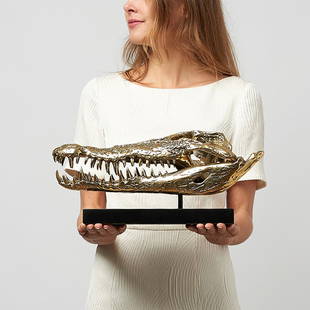 Saltwater Crocodile Skull in Polished Bronze: Title: Saltwater Crocodile Skull in Polished BronzeMaker: Designer: Jake RichmondOrigin: The NetherlandsDate/Period: 2017Materials: Bronze, WoodDimensions:L: 42 cm / 16.5 inch W: 20 cm / 7.8 inch H: