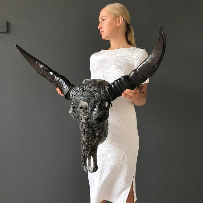 Grey water buffalo skull - Native American Indian: Title: Grey water buffalo skull - Native American Indian Maker: Unknown Origin: Indonesia Date/Period: 2020 Materials: Bone, horn, Bubalus Bubalis Dimensions:H: 80 cm / 31.4 inch W: 66 cm / 25.9 inch 