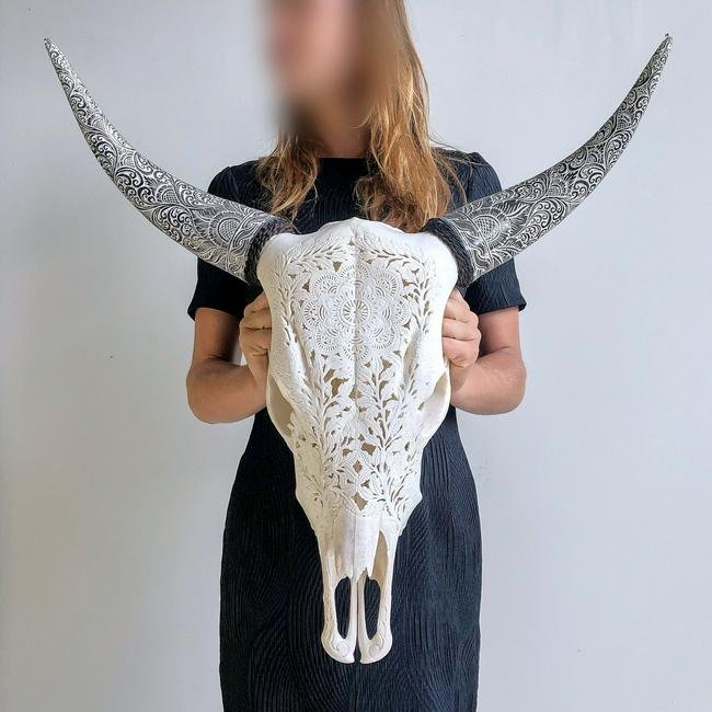 Cow skull with bohemian horns - Flower mandala: Title: Cow skull with bohemian horns - Flower mandala, Maker: Unknown Origin: Indonesia Date/Period: 2020 Materials: Bone, Horn, Bos Taurus Dimensions:H: 66 cm / 25.9 inch W: 56 cm / 22 inch Descripti