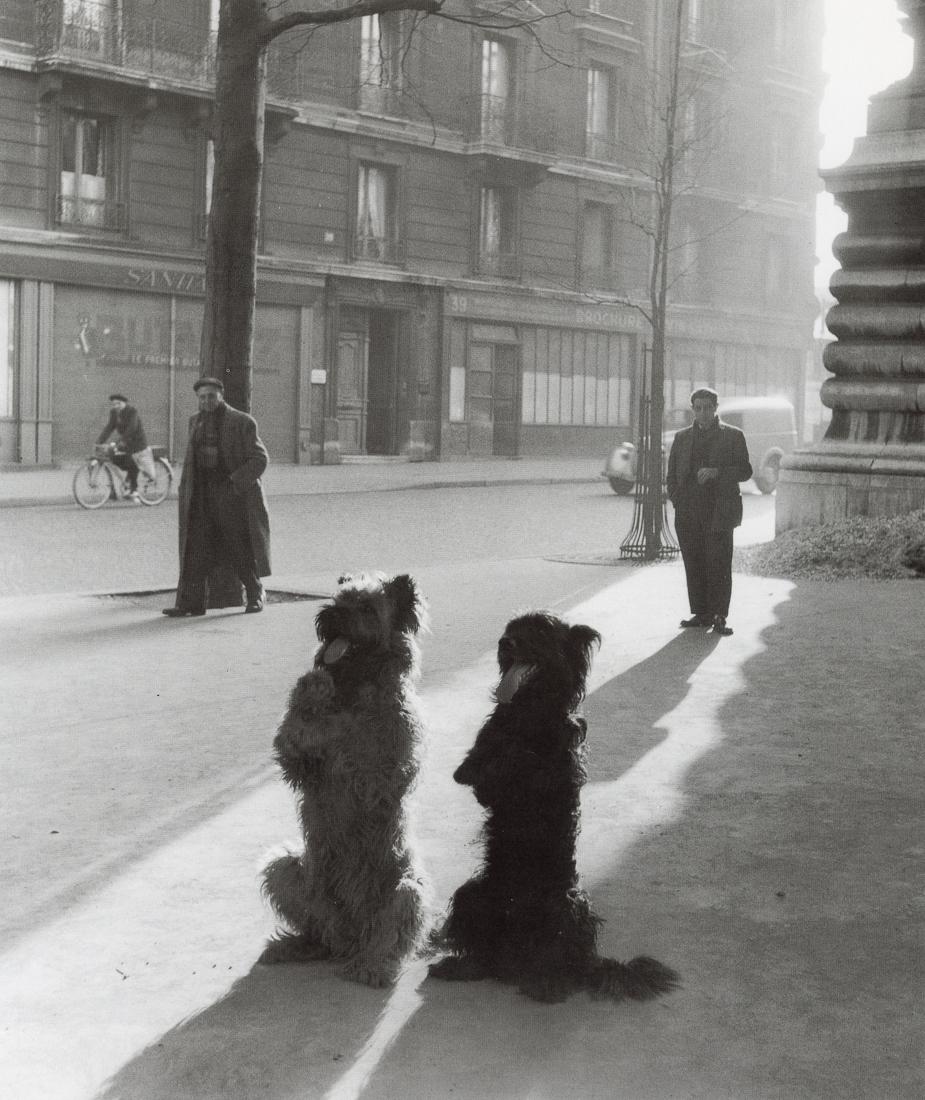 ROBERT DOISNEAU - Two Dogs (1 of 1)