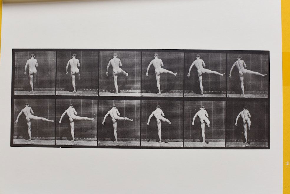 Eadweard Muybridge - Animal Locomotion Plate A.L. 369: Artist: Eadweard Muybridge Title: Animal Locomotion Plate A.L. 369 Date Printed: Printed in 1979 Heavy weight, matte finish Medium: Vintage Photogravure/Heliogravure Print Origin: Italy Dimension: 36.