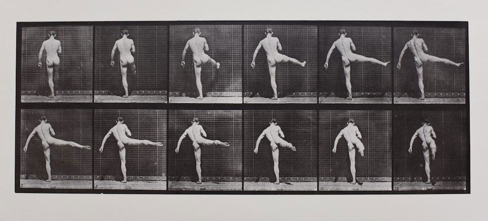 Eadweard Muybridge - Animal Locomotion Plate A.L.329: Artist: Eadweard Muybridge Title: Animal Locomotion Plate A.L.329 Date Printed: Printed in 1979 Heavy weight, matte finish Medium: Vintage Photogravure/Heliogravure Print Origin: Italy Dimension: 38x