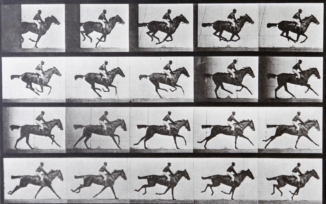Eadweard Muybridge - Horse at galop A.L. 667: Artist: Eadweard Muybridge Title: Horse at galop A.L. 667 Date Printed: Printed in 1979 Heavy weight, matte finish Medium: Vintage Photogravure/Heliogravure Print Origin: Italy Dimension: 26.2x16.5 cm