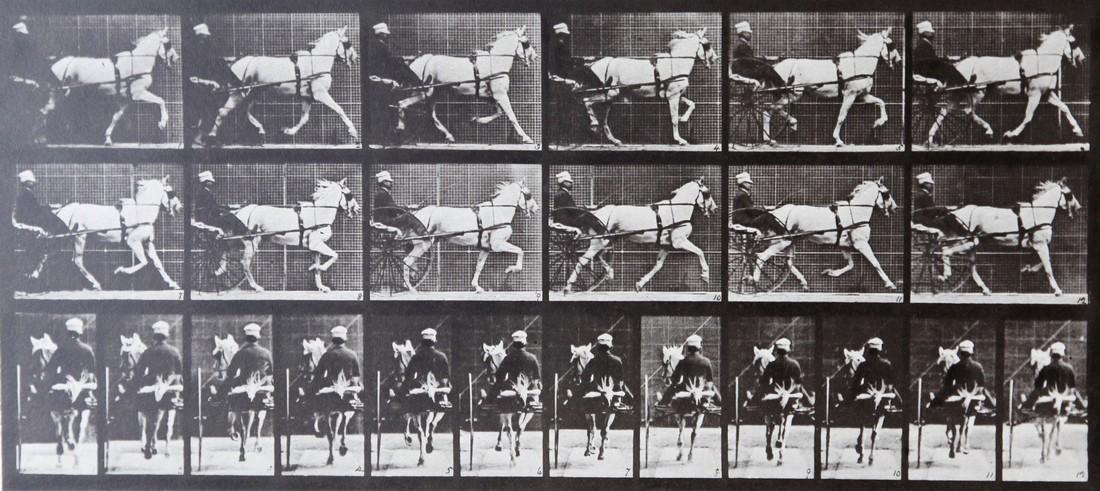 Eadweard Muybridge - Horse with carriage A.L. 671: Artist: Eadweard Muybridge Title: Horse with carriage A.L. 671 Date Printed: Printed in 1979 Heavy weight, matte finish Medium: Period Photogravure/Heliogravure with original dry mount tissue guard Pr