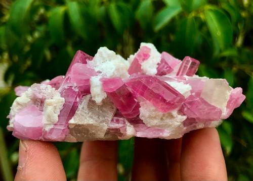 1055 Carats Top Quality Amazing UnHeated Spectacular (1 of 5)