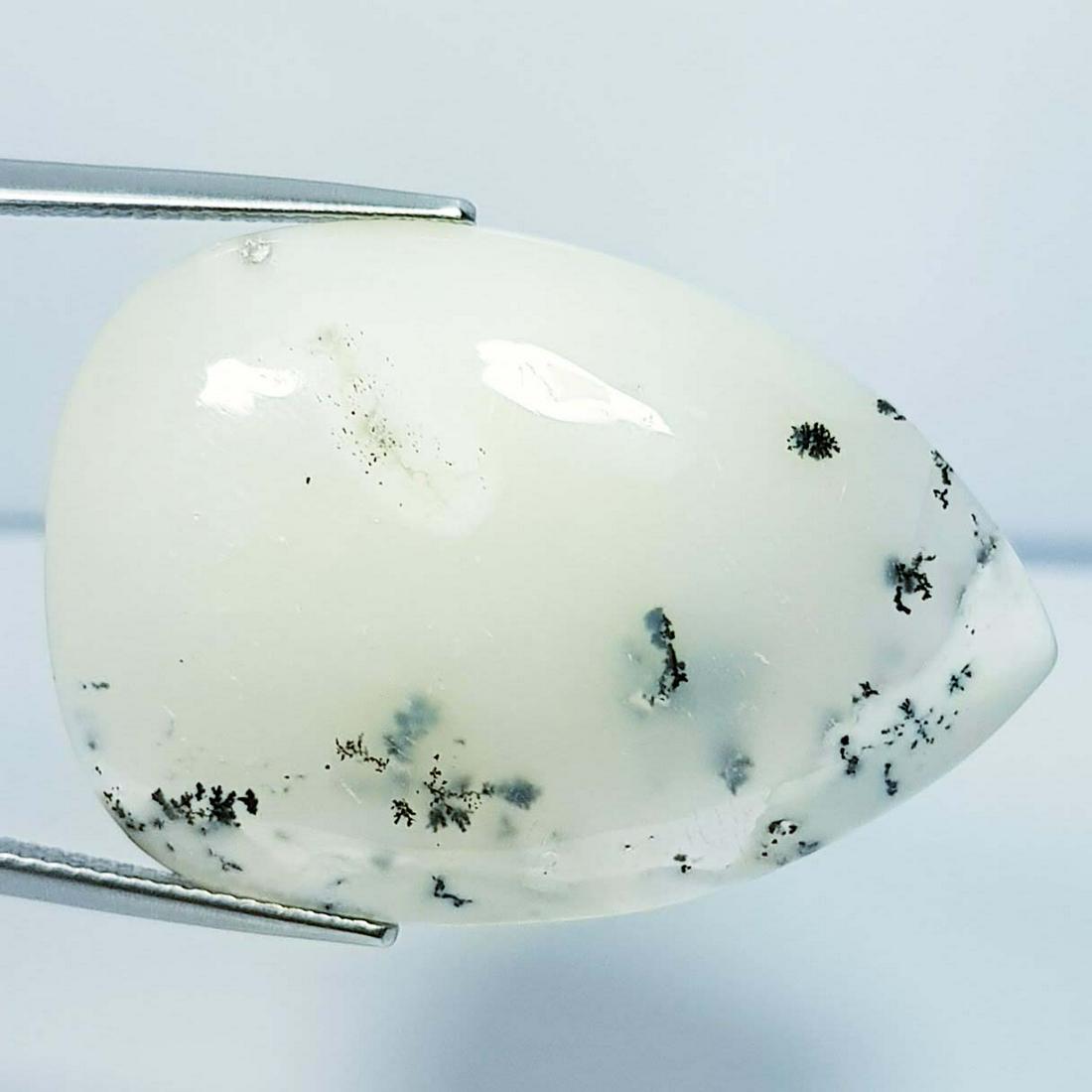 35.09 ct Natural Dendrite Opal: No Reserve! Title: 35.09 ct Natural Dendrite Opal Color/Clarity: Opaque Carat Weight: 35.09 Size/Dimensions: 34.75 x 24.10 x 6.00 Additional Information: Pear / Australia Shipping: Domestic: Flat-rat