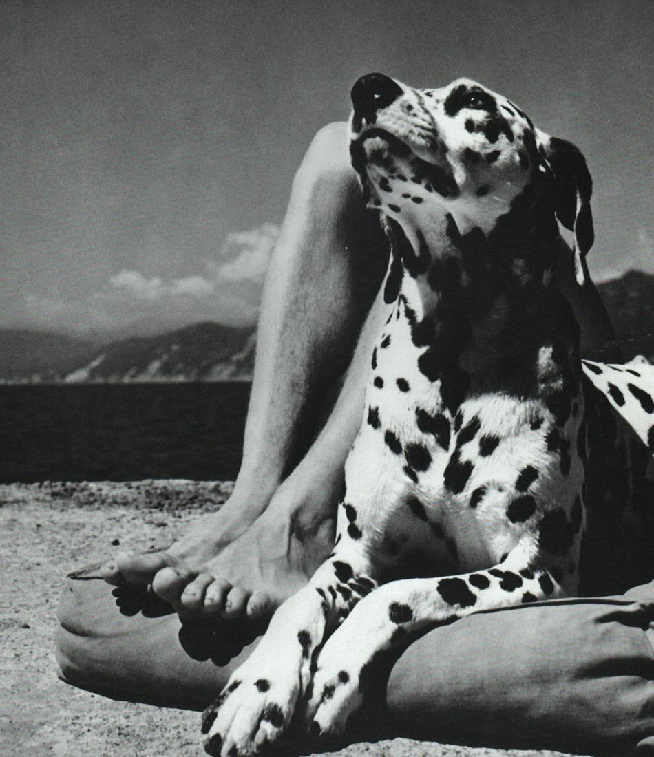 HERBERT LIST - Dalmation, Portofino,1936 (1 of 1)