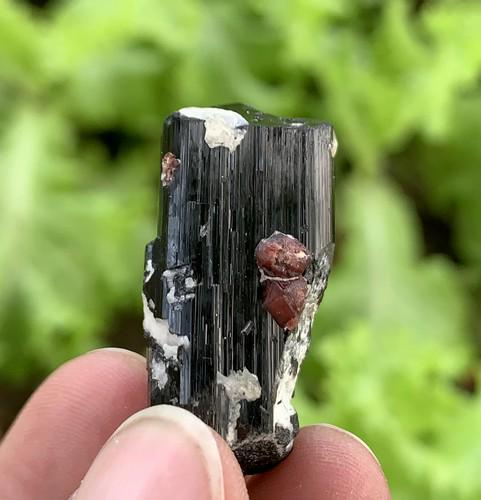 17 Gram Superb Natural Tourmaline With Garnet Specimen (1 of 6)