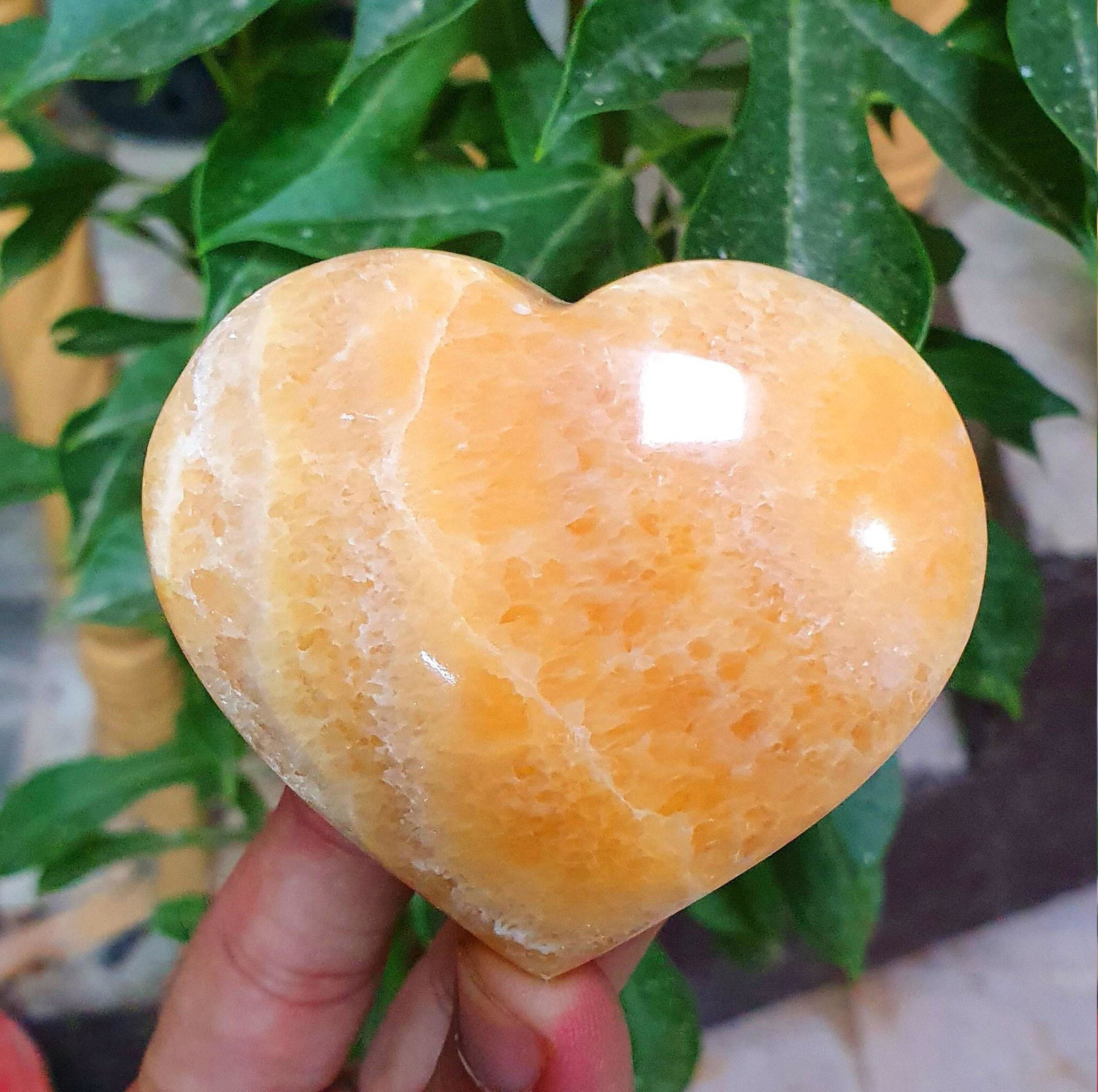 Polished Orange Calcite Heart Crystal Orange Crystals: Polished Orange Calcite Heart Crystal Orange Crystals Orange Calcite Palm Stone 146 gram - 64*62*25 mm Weight : 146 gram Size : 64*62*25 mm Origin : Pakistan Treatment : Natural DHL Shipphing Economy 