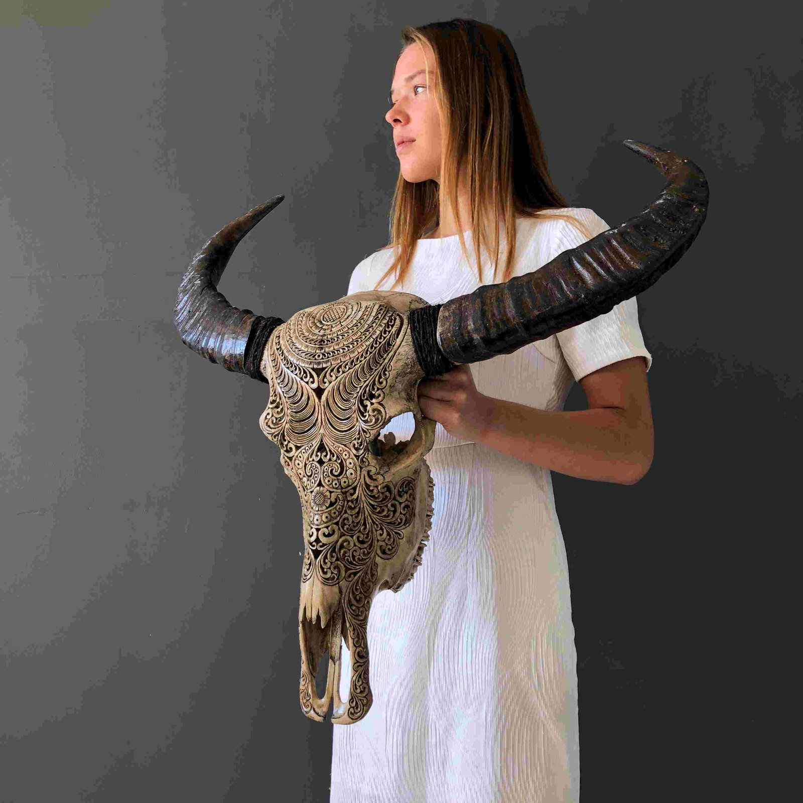 Water Buffalo Skull - Badong motif: Title: Water Buffalo Skull - Badong motif Maker: Unknown Origin: Bali, Indonesia Date/Period: 2021 Materials: Bone, Horn, Bubalus bubalis Dimensions:Length 72 cm / 28.3 inches, width 70 cm / 27.5 inch