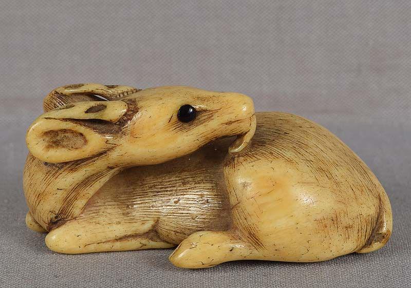 Early 19c walrus penis bone netsuke DEER licking its: Early 19th century netsuke of a reclining deer with its head turned back as it licks its coat, hooves bent beneath its body. Carved out of walrus’s baculum - its penis bone - an extremely rare, prob
