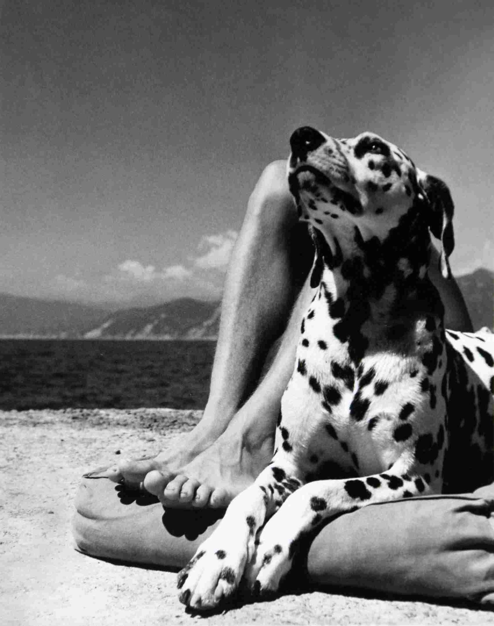 Herbert List - Portofino, 1936: Artist: Herbert List Title: Portofino, 1936 Date Printed: 2008 Medium: High Quality Photo Print with Copyright Herbert List / Magnum Photos Print Origin: Printed in Italy / Corriere della Sera Edition
