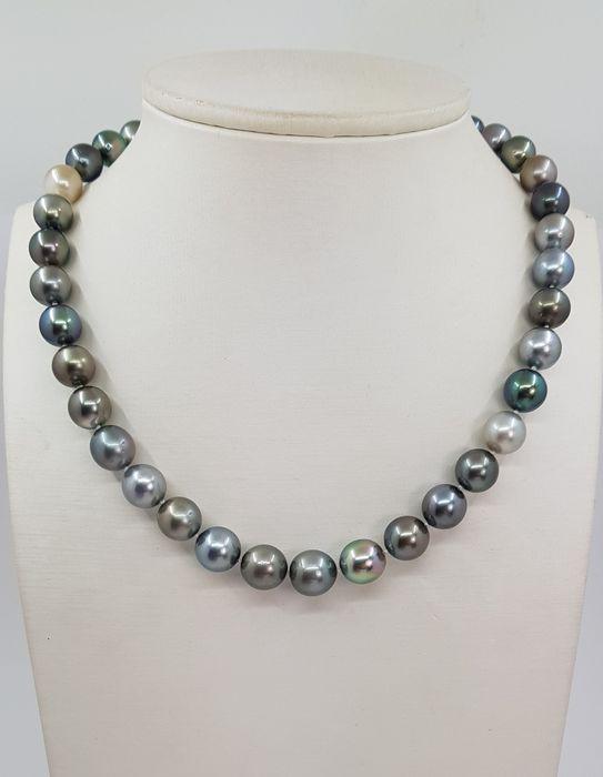 8.5x12mm Multi Coloured Tahitian Pearls - 14 kt. White (1 of 7)