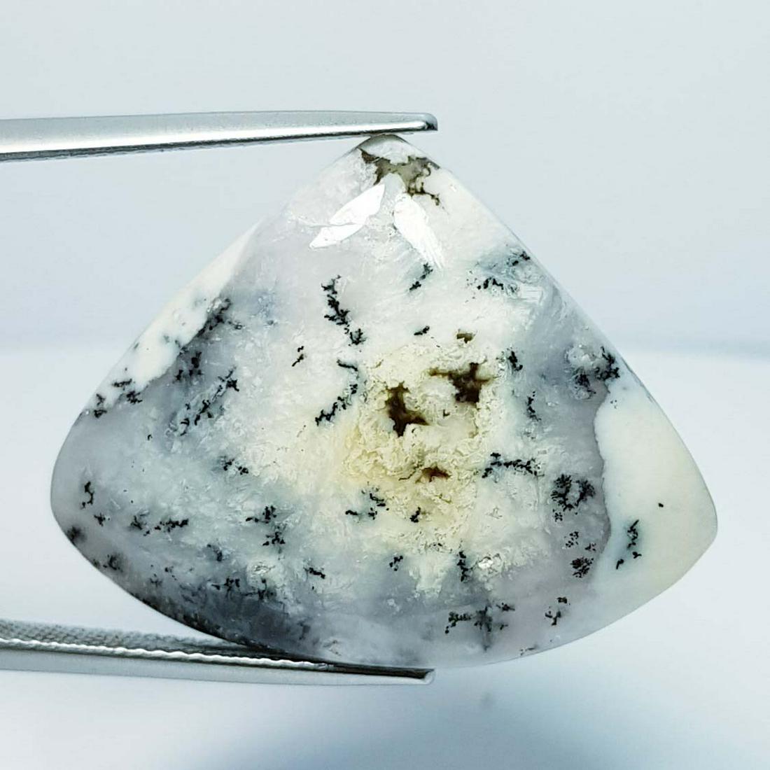 26.22 ct Natural Dendrite Opal (1 of 5)