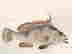 item-116760181=2