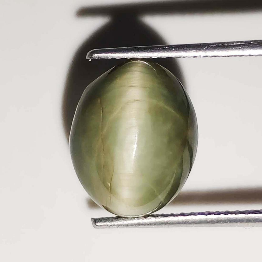 7.30 ct Natural Chrysoberyl Cat's Eye: No Reserve! Title: 7.30 ct Natural Chrysoberyl Cat's Eye Additional Information: Gemstones: Cat's Eye Carat Weights: 7.30 ct Size/Dimensions: 12.5 x 10 x 8 mm Origin : India Materials: Chrysoberyl Wei