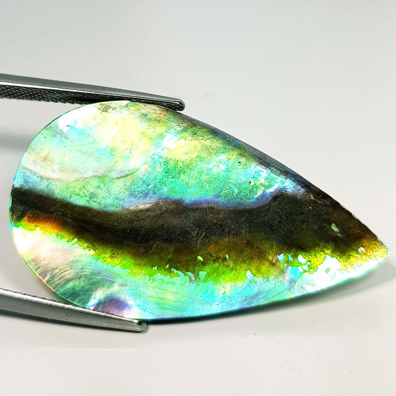 14.13 ct Natural Australian Abalon: No Reserve! Title: 14.13 ct Natural Australian Abalon Color/Clarity: Opaque Gemstones: Loosegemstone Carat Weights: 14.13 Size/Dimensions: 36.30 x 20.80 x 2.85 Additional Information: Pear - Australia