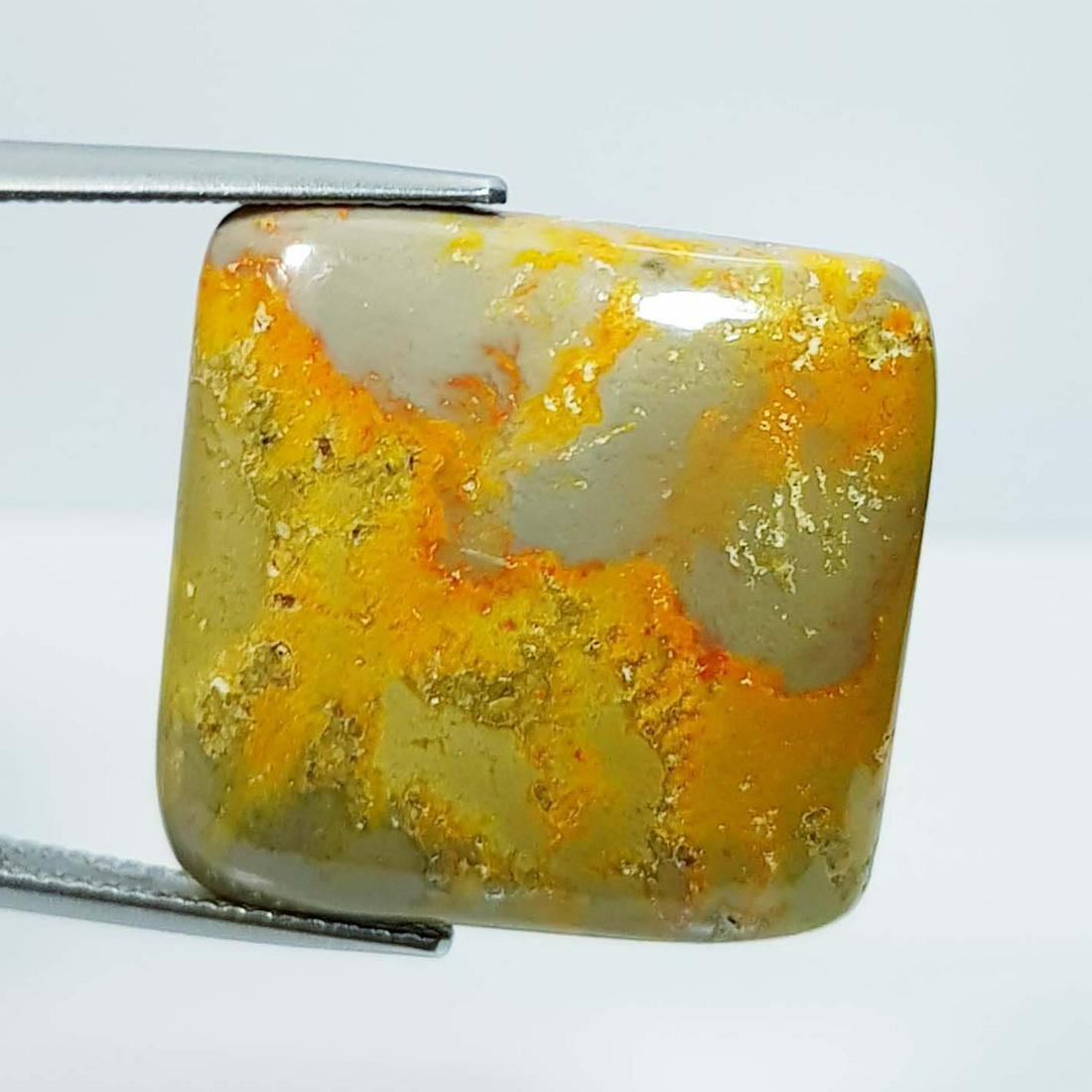 29.08 ct Natural Bumble Bee Jasper (1 of 5)