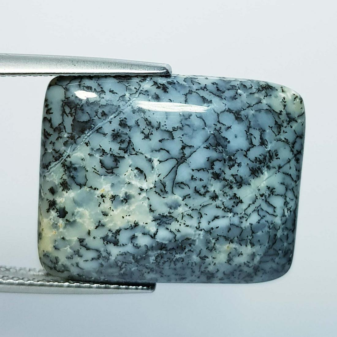 16.18 ct Natural Dendrite Opal (1 of 5)