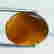 item-117187943=2