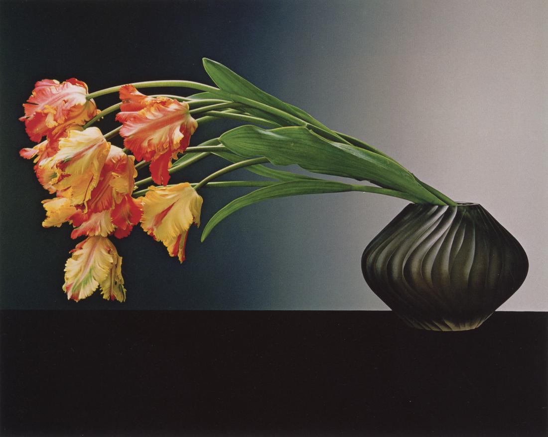 ROBERT MAPPLETHORPE - Parrot Tulips, 1988 (1 of 1)