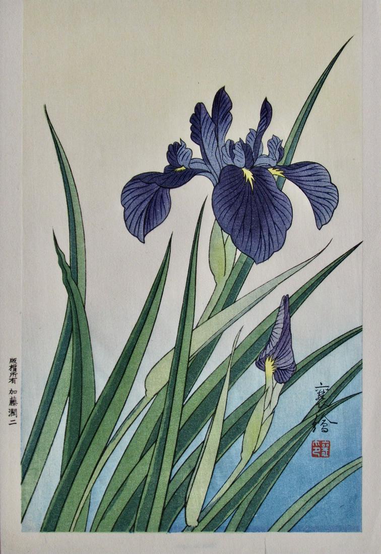 Yuzuru Hashimoto (Jo): Iris: Artist: JO (Yuzuru Hashimoto) Subject: Iris Signature: Jo Date: 1930s Format: 18.5 x 26.8 cm Condition: Fine impression, color and condition Reserve: $70.00 Shipping: Domestic: Flat-rate of $18.00 to