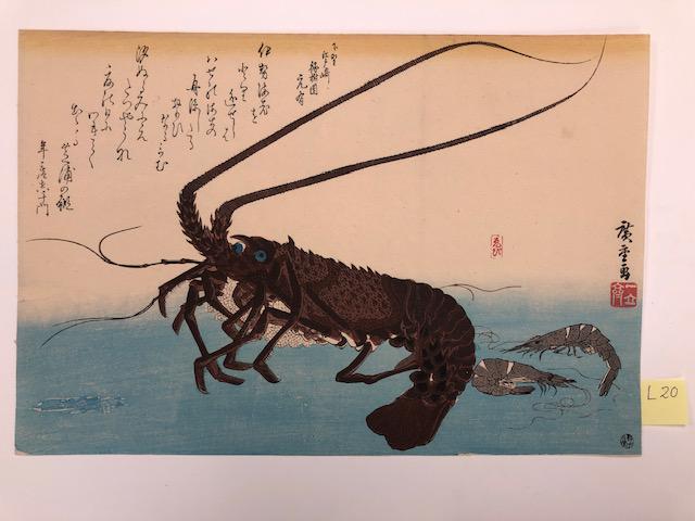 Hiroshige: Fish series - lobster & 2 shrimps: Title: Fish series - lobster & 2 shrimps Artist: Hiroshige Date/Period: 1797-1858 Size/Format: 14 1/4x9 1/2 Note: This is early showa edition C1920 printed from recared woodblock. Very Rare Reserve: $