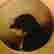 item-117331426=2