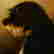 item-117331426=3