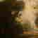 item-117331433=3