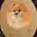 item-117331440=2