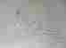 item-117331467=2