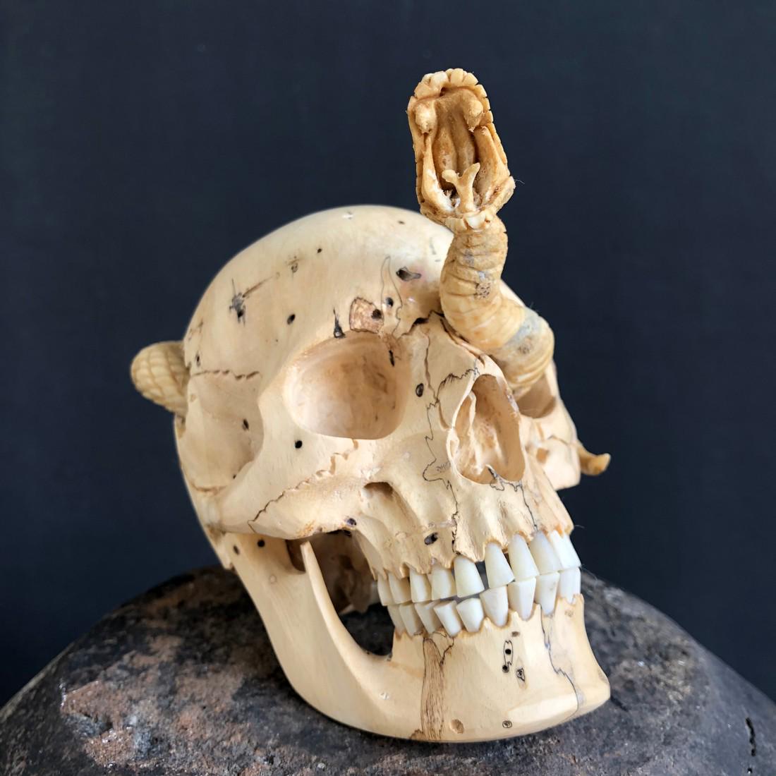 Human Skull With A Carved Snake: Title: Human Skull With A Carved Snake Maker: Unknown Origin: Indonesia Date/Period: 2021 Materials: Tamarind Wood, Deer antler Dimensions:Height: 12.5 cm / 4.9 inches. Width: 9 cm / 3.5 inches. Lengt