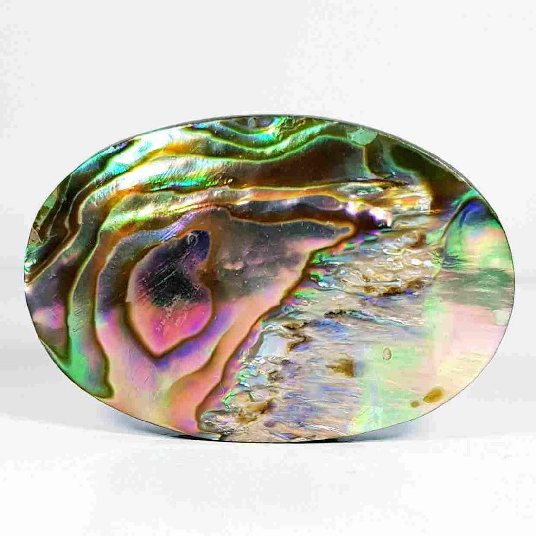 37.23 ct Australian Abalon (1 of 5)