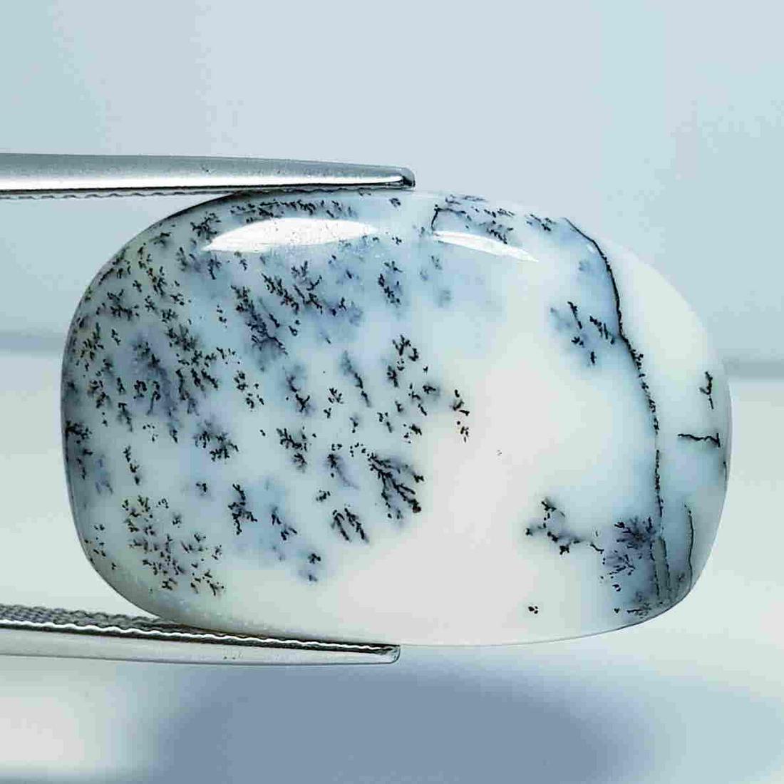 17.07 ct Natural Dendrite Opal (1 of 5)