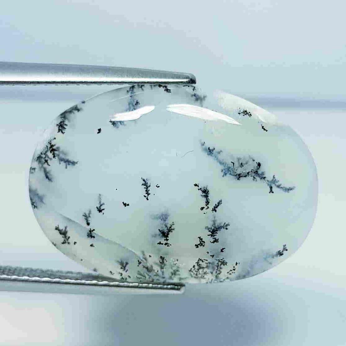 15.68 ct Natural Dendrite Opal: No Reserve! Title: 15.68 ct Natural Dendrite Opal Color/Clarity: Opaque Loosegemstone Carat Weights: 15.68 Size/Dimensions: 23.95 x 16.60 x 4.70 Additional Information: Oval / Australia Shipping: Dome