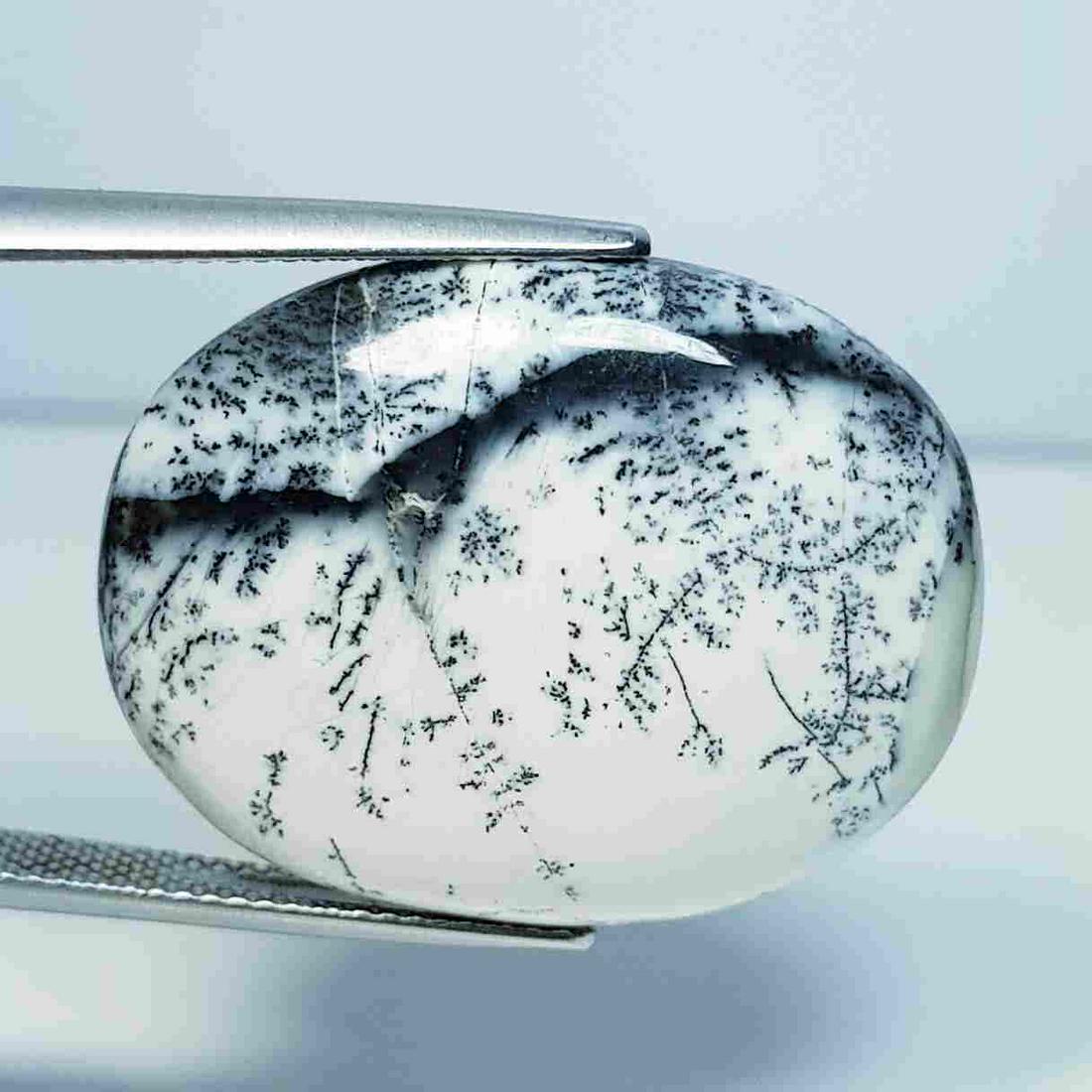 24.64 ct Natural Dendrite Opal: No Reserve! Title: 24.64 ct Natural Dendrite Opal Color/Clarity: Opaque Loosegemstone Carat Weights: 24.64 Size/Dimensions: 27.65 x 21.85 x 5.40 Additional Information: Oval / Australia Shipping: Dome