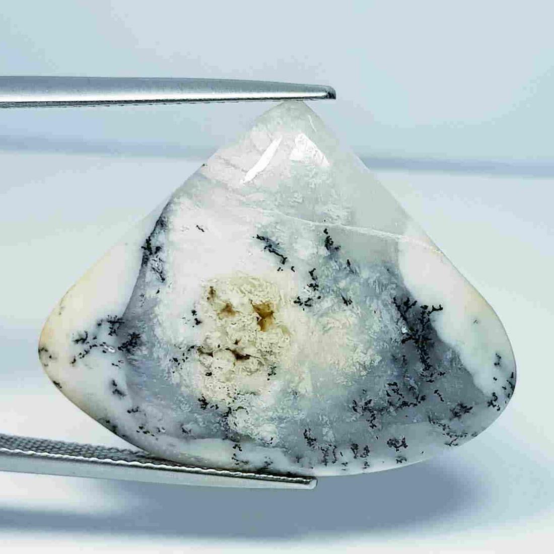 23.55 ct Natural Dendrite Opal: No Reserve! Title: 23.55 ct Natural Dendrite Opal Color/Clarity: Opaque Loosegemstone Carat Weights: 23.55 Size/Dimensions: 30.25 x 23.70 x 5.20 Additional Information: Pear / Australia Shipping: Dome