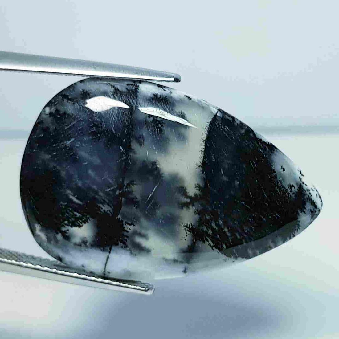 21.04 ct Natural Dendrite Opal (1 of 5)