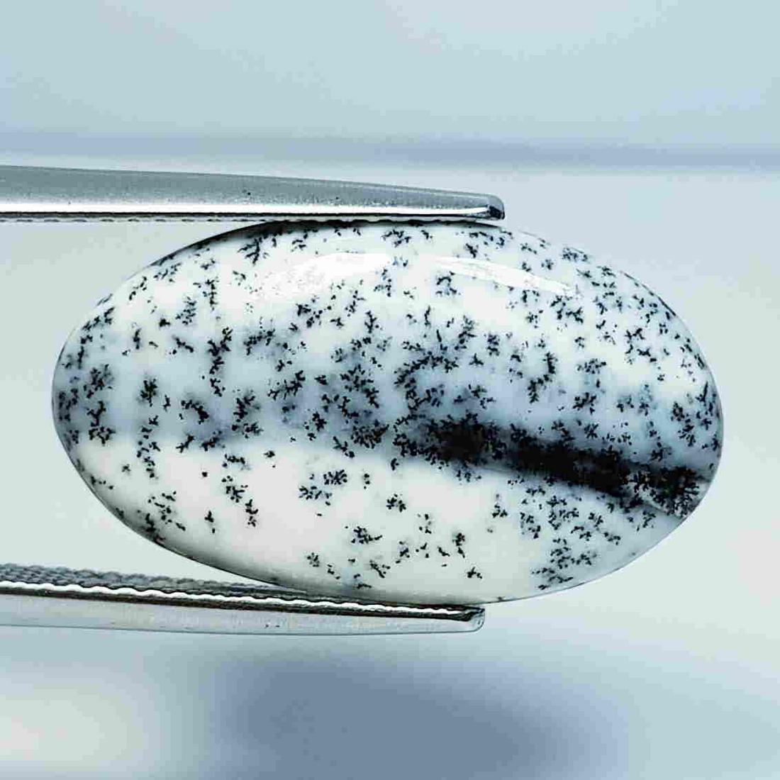 6.75 ct Natural Dendrite Opal: No Reserve! Title: 6.75 ct Natural Dendrite Opal Color/Clarity: Opaque Loosegemstone Carat Weights: 6.75 Size/Dimensions: 22.10 x 12.85 x 3.50 Additional Information: Oval / Australia Shipping: Domest