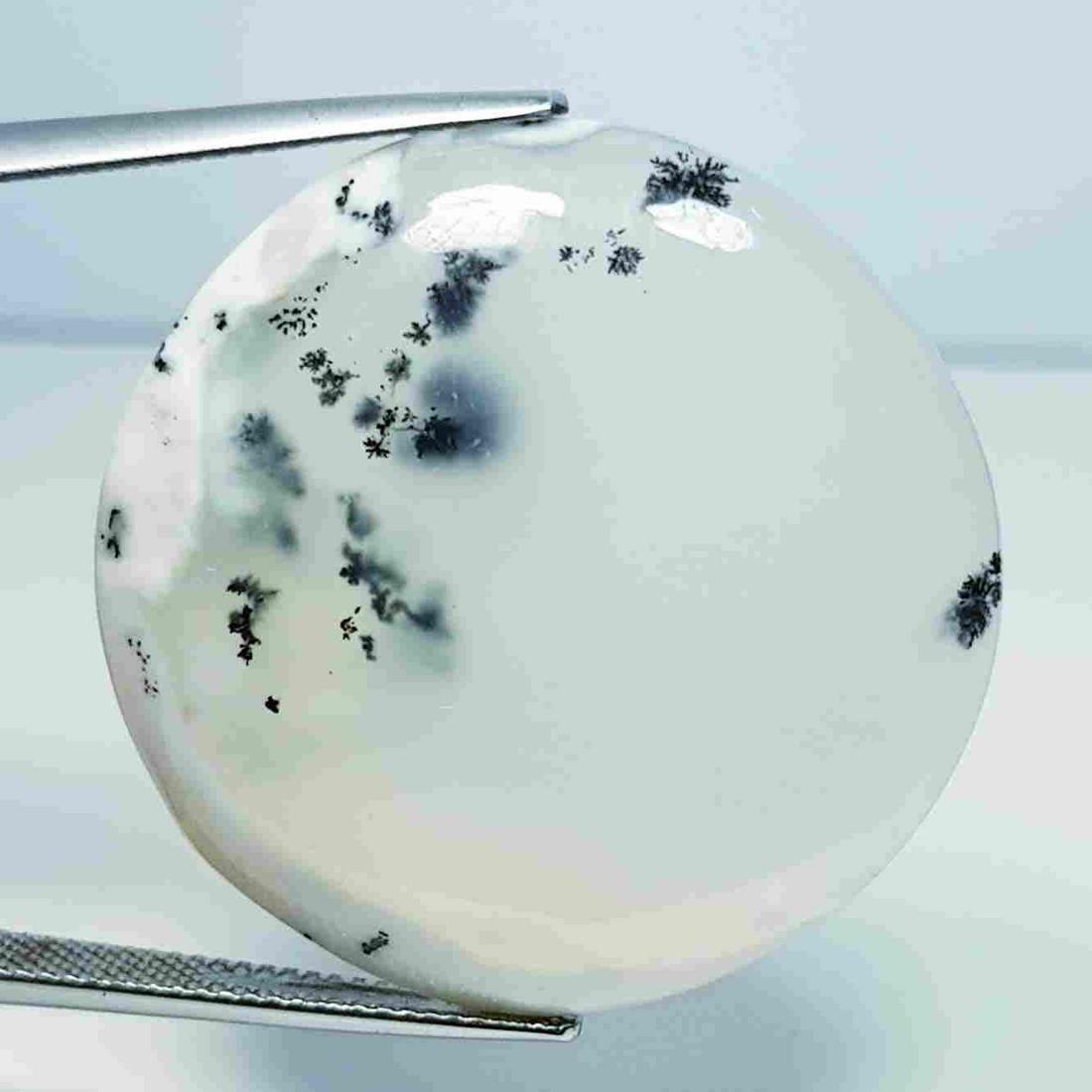 43.92 ct Natural Dendrite Opal (1 of 5)