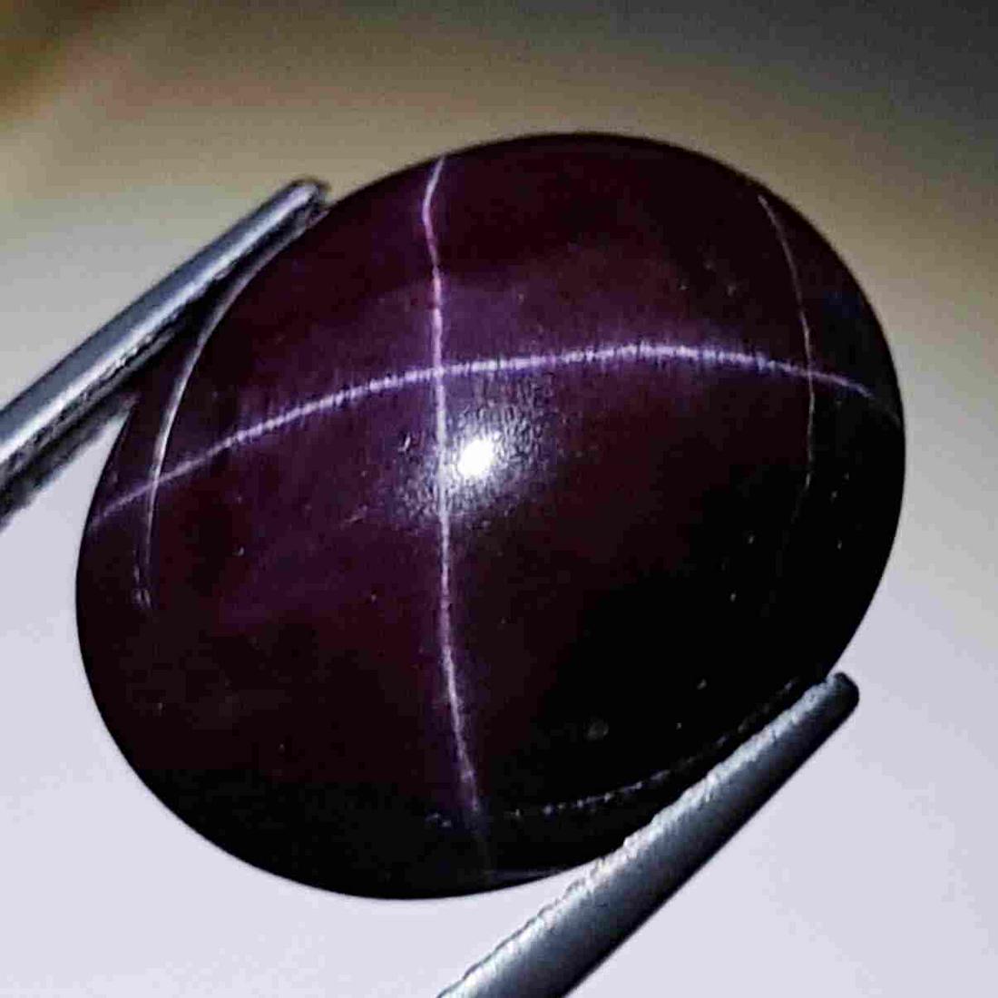 Natural Four Ray Star Garnet 29.70 ct (1 of 5)