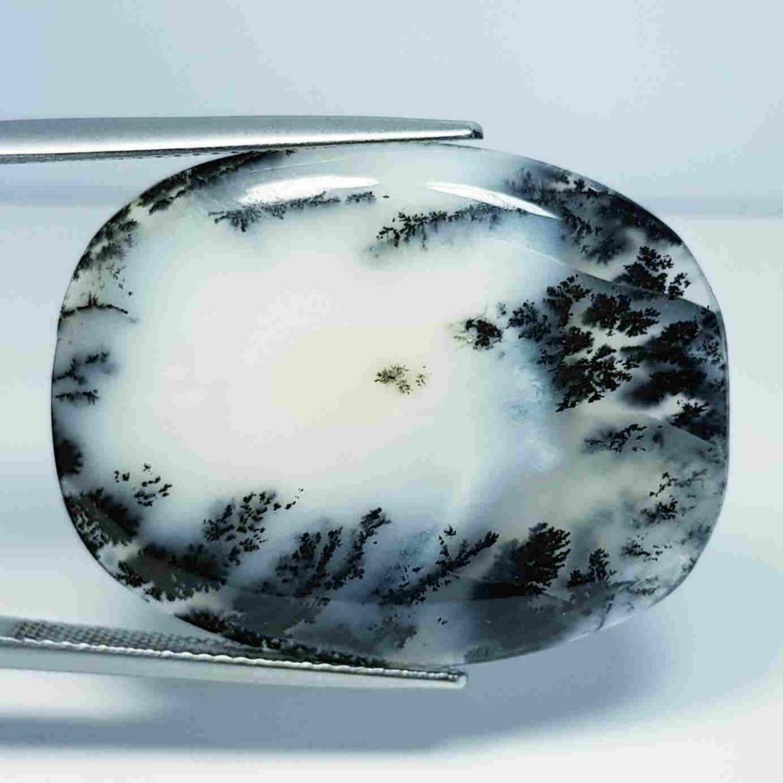 28.79 ct Natural Dendrite Opal (1 of 5)