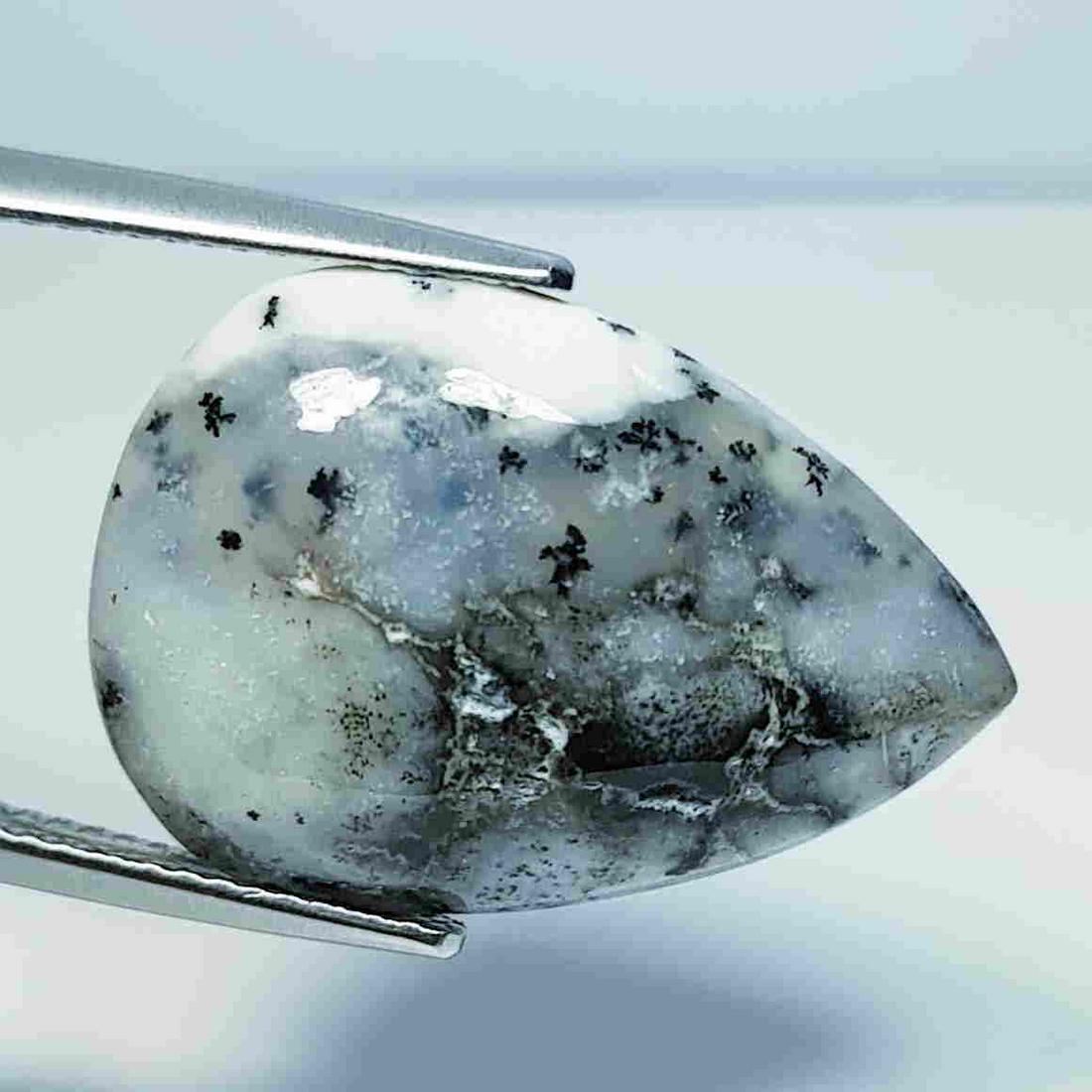 12.83 ct Natural Dendrite Opal: No Reserve! Title: 12.83 ct Natural Dendrite Opal Color/Clarity: Opaque Loosegemstone Carat Weights: 12.83 Size/Dimensions: 22.50 x 15.75 x 5.10 Additional Information: Pear / Australia Shipping: Dome