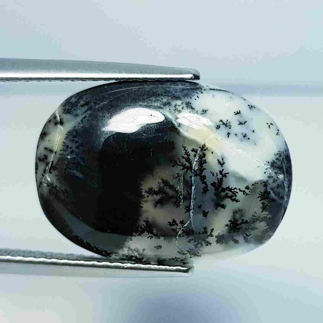 9.75ct Natural Dendrite Opal: No Reserve! Title: 9.75ct Natural Dendrite Opal Color/Clarity: Opaque Loosegemstone Carat Weights: 9.75 Size/Dimensions: 19.80 x 14.50 x 4.60 Additional Information: Oval / Australia Shipping: Domesti